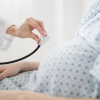 تشخيص و علاج جميع امراض الحمل و الولادة تشخيص و علاج جميع امراض الحمل و الولادة